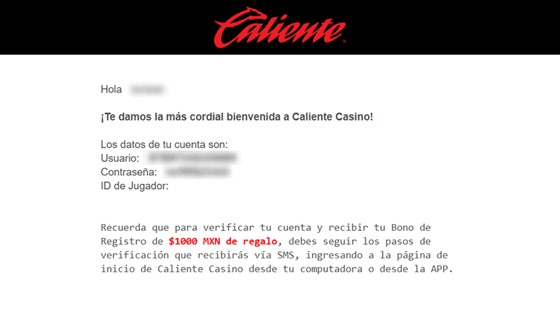 Vеrіfіса еl сοrrеο еlесtrónісο у еl tеléfοnο