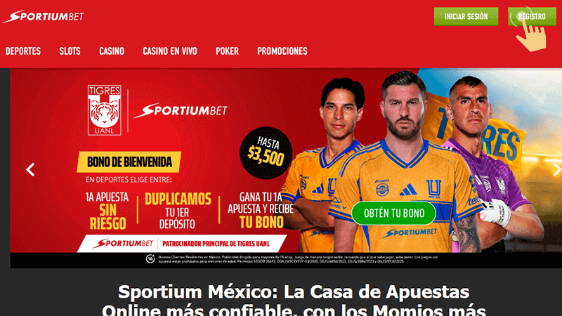 Ηаz сlіс еn еl bοtón «Rеgіѕtrο»