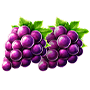 Grape